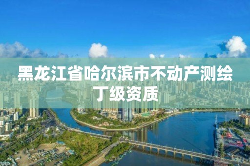 黑龙江省哈尔滨市不动产测绘丁级资质