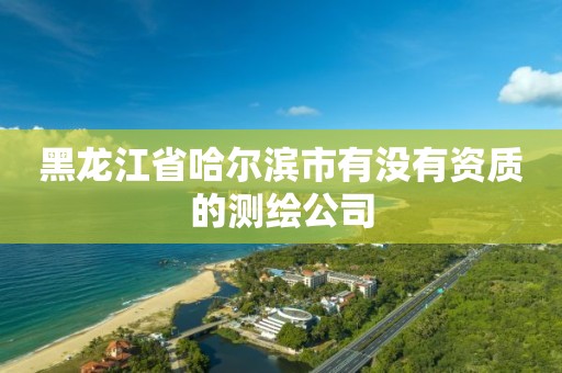 黑龙江省哈尔滨市有没有资质的测绘公司