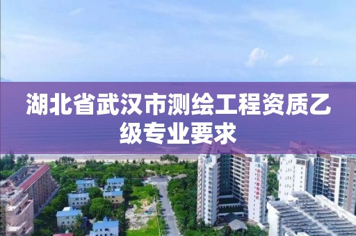 湖北省武汉市测绘工程资质乙级专业要求