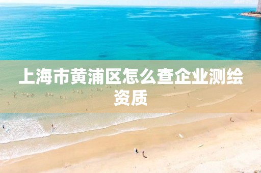 上海市黄浦区怎么查企业测绘资质