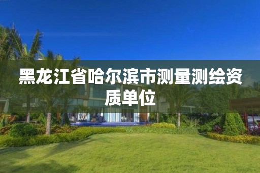 黑龙江省哈尔滨市测量测绘资质单位