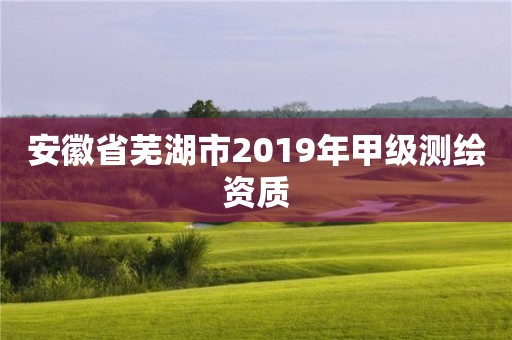 安徽省芜湖市2019年甲级测绘资质