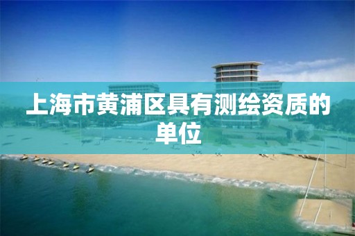 上海市黄浦区具有测绘资质的单位