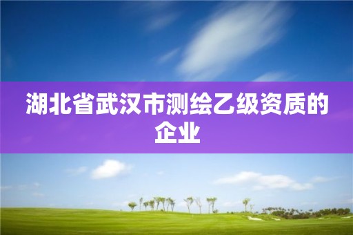 湖北省武汉市测绘乙级资质的企业