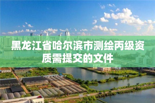 黑龙江省哈尔滨市测绘丙级资质需提交的文件