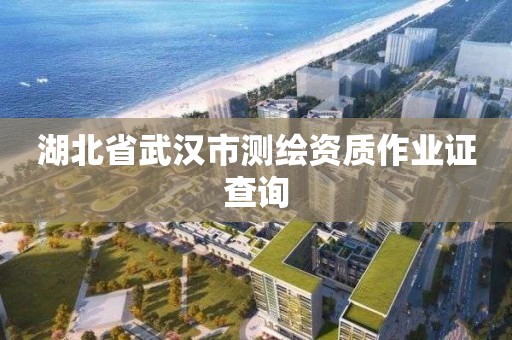 湖北省武汉市测绘资质作业证查询