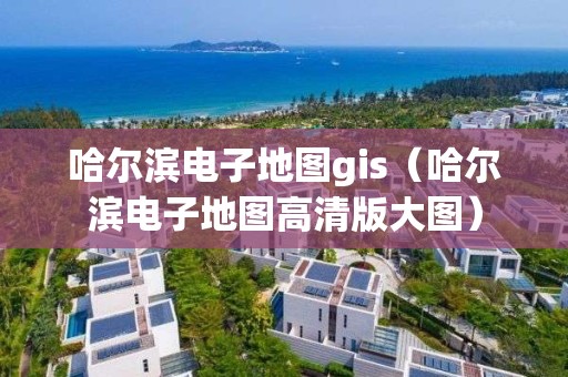 哈尔滨电子地图gis（哈尔滨电子地图高清版大图）