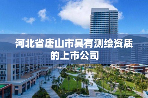 河北省唐山市具有测绘资质的上市公司