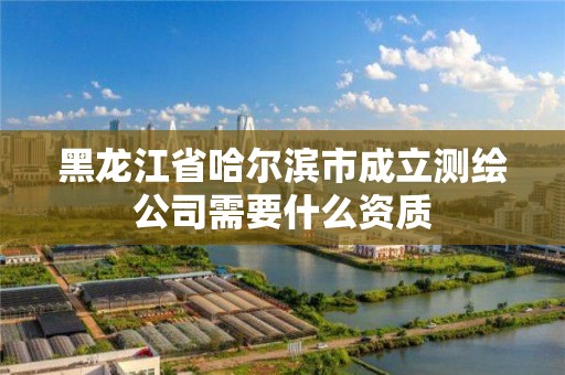 黑龙江省哈尔滨市成立测绘公司需要什么资质