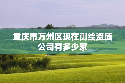 重庆市万州区现在测绘资质公司有多少家