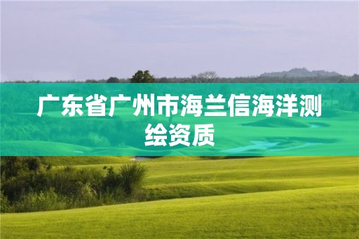 广东省广州市海兰信海洋测绘资质