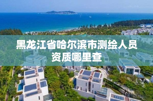 黑龙江省哈尔滨市测绘人员资质哪里查