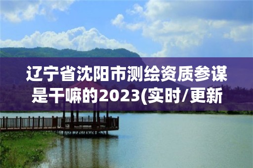 辽宁省沈阳市测绘资质参谋是干嘛的2023(实时/更新中)