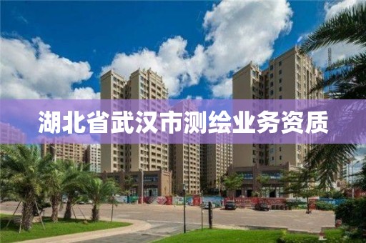 湖北省武汉市测绘业务资质