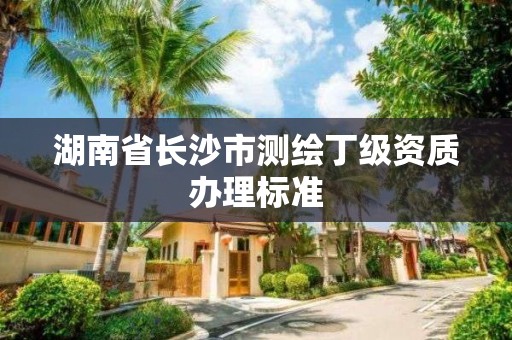 湖南省长沙市测绘丁级资质办理标准