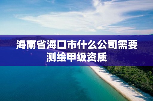 海南省海口市什么公司需要测绘甲级资质