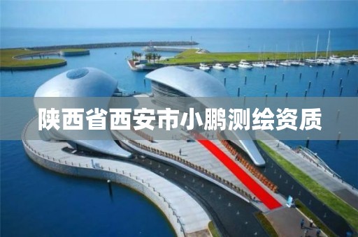 陕西省西安市小鹏测绘资质