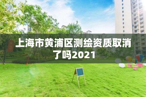 上海市黄浦区测绘资质取消了吗2021