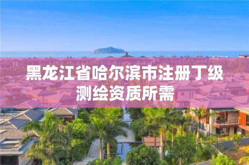 黑龙江省哈尔滨市注册丁级测绘资质所需