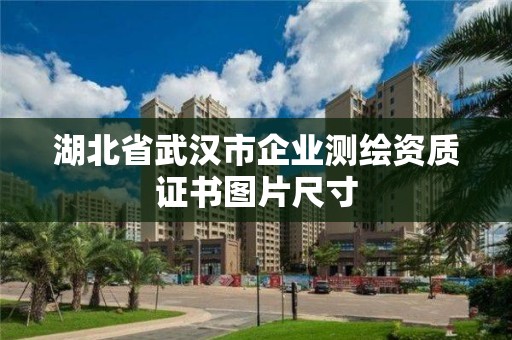 湖北省武汉市企业测绘资质证书图片尺寸