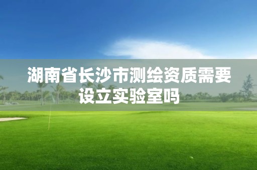 湖南省长沙市测绘资质需要设立实验室吗