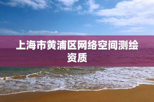 上海市黄浦区网络空间测绘资质