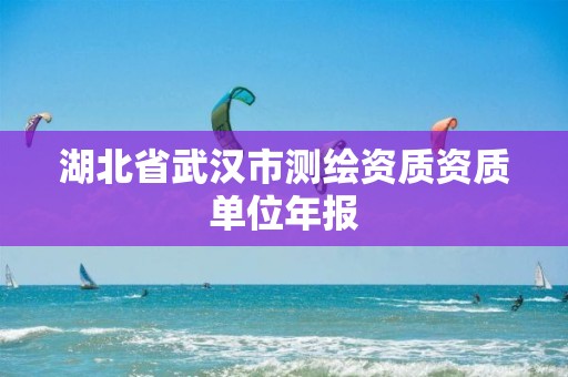 湖北省武汉市测绘资质资质单位年报