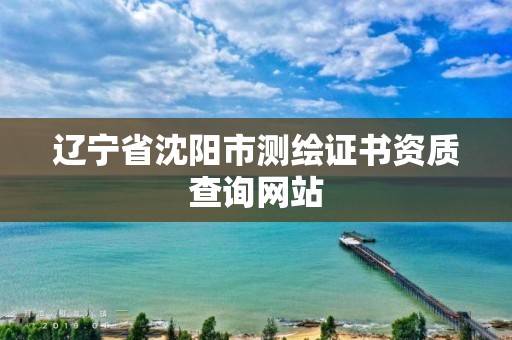 辽宁省沈阳市测绘证书资质查询网站