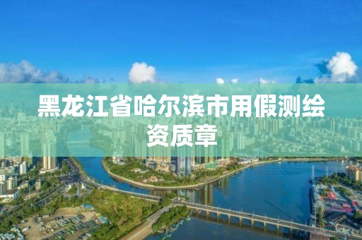 黑龙江省哈尔滨市用假测绘资质章