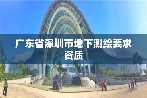 广东省深圳市地下测绘要求资质