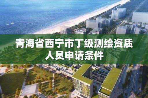 青海省西宁市丁级测绘资质人员申请条件