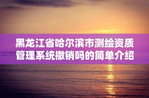 黑龙江省哈尔滨市测绘资质管理系统撤销吗的简单介绍