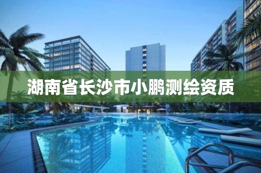 湖南省长沙市小鹏测绘资质