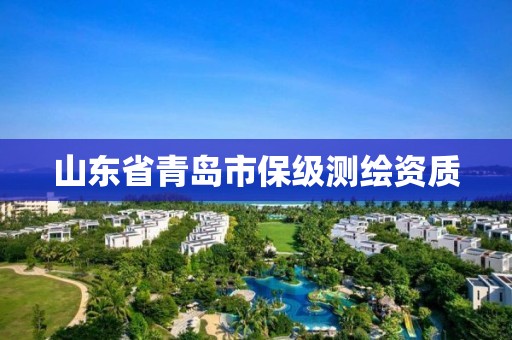 山东省青岛市保级测绘资质