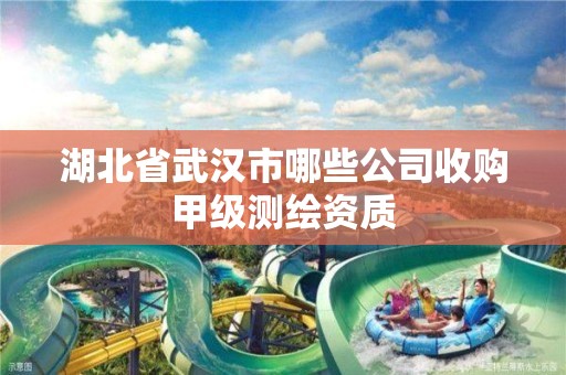 湖北省武汉市哪些公司收购甲级测绘资质