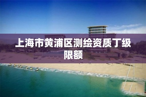 上海市黄浦区测绘资质丁级限额