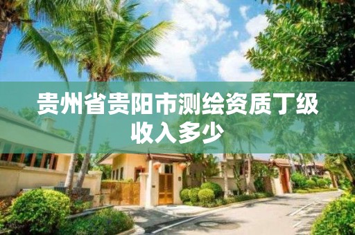 贵州省贵阳市测绘资质丁级收入多少