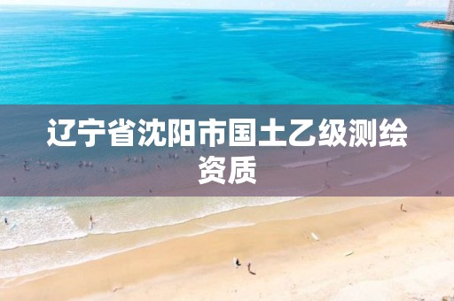 辽宁省沈阳市国土乙级测绘资质