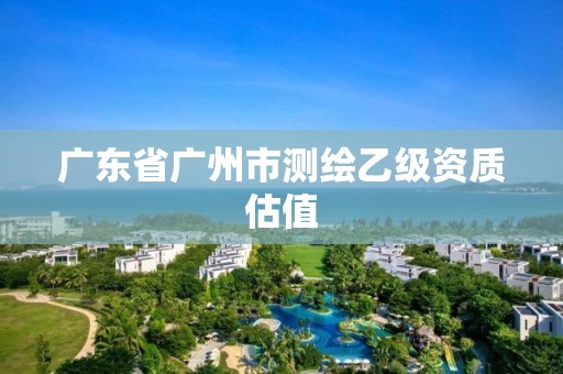 广东省广州市测绘乙级资质估值