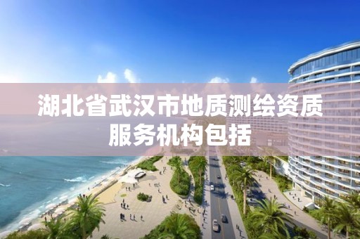 湖北省武汉市地质测绘资质服务机构包括