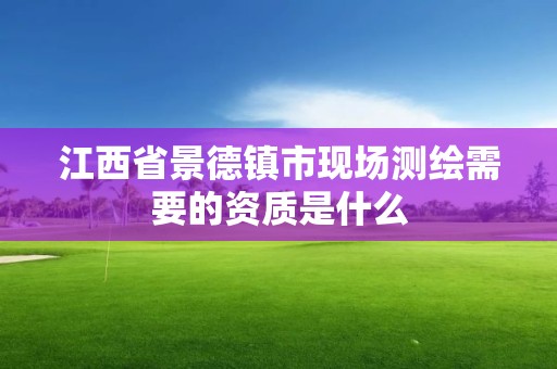 江西省景德镇市现场测绘需要的资质是什么