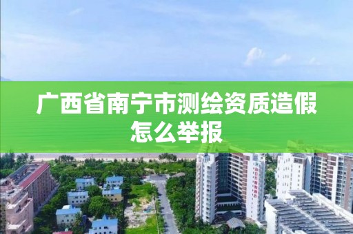 广西省南宁市测绘资质造假怎么举报