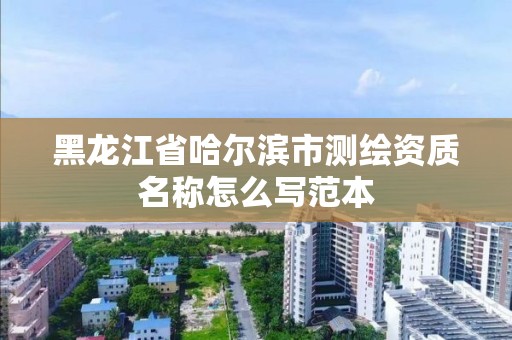 黑龙江省哈尔滨市测绘资质名称怎么写范本