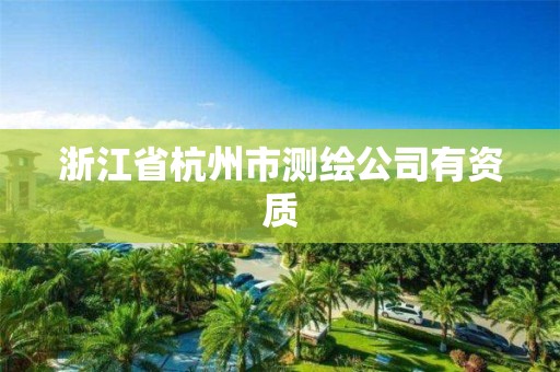 浙江省杭州市测绘公司有资质