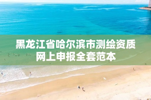 黑龙江省哈尔滨市测绘资质网上申报全套范本