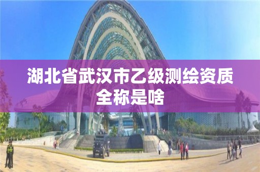 湖北省武汉市乙级测绘资质全称是啥