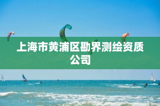 上海市黄浦区勘界测绘资质公司