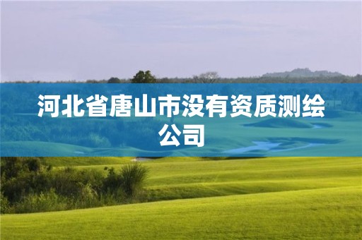 河北省唐山市没有资质测绘公司