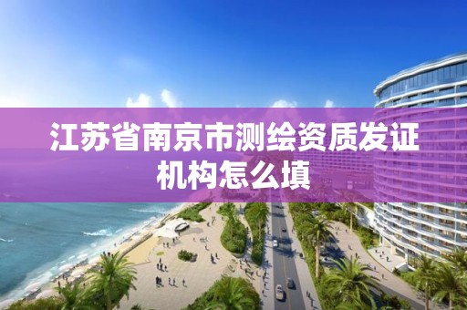 江苏省南京市测绘资质发证机构怎么填