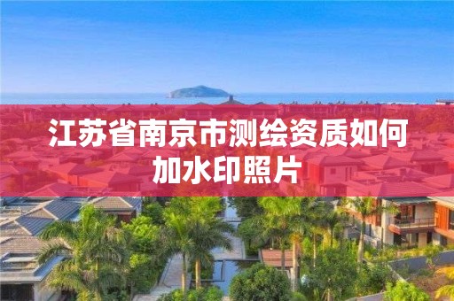 江苏省南京市测绘资质如何加水印照片